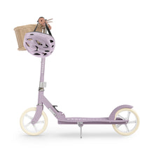 LR 210 V Scooter