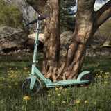 LR 231 T Scooter (B-Ware)