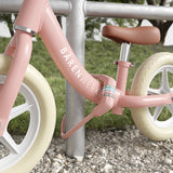 LZ 700 P Fahrradschloss